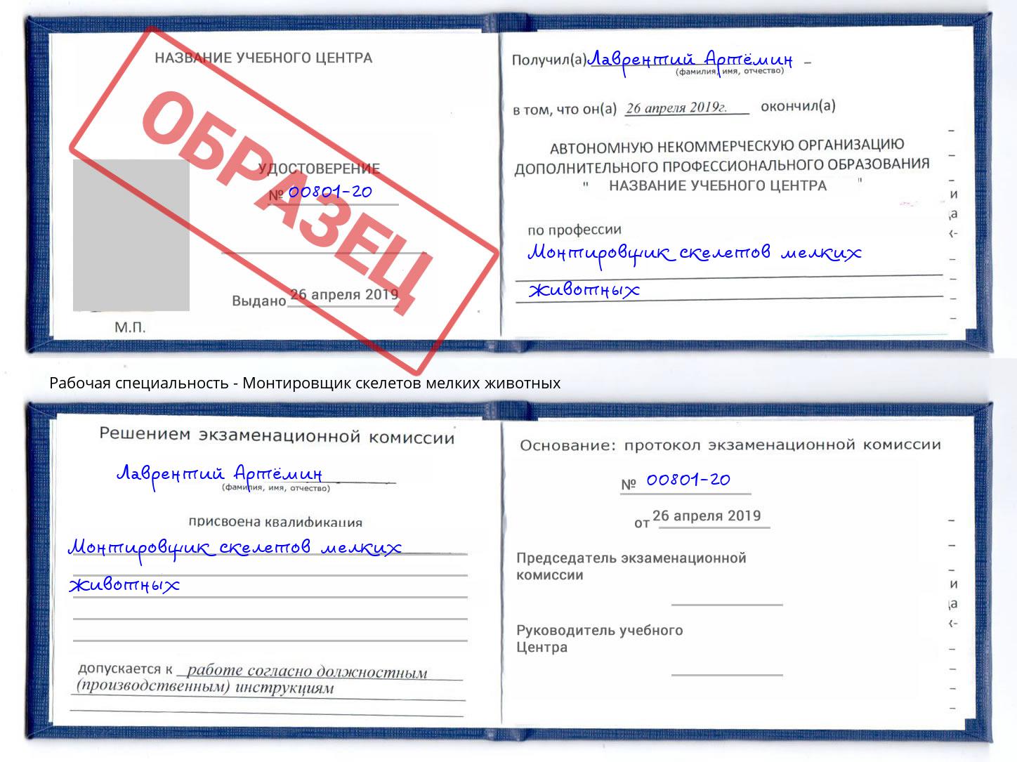 Монтировщик скелетов мелких животных Новокуйбышевск