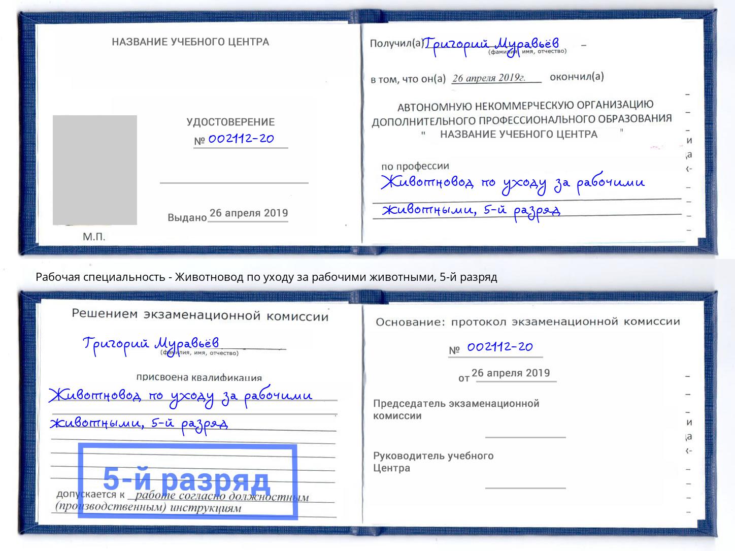 корочка 5-й разряд Животновод по уходу за рабочими животными Новокуйбышевск